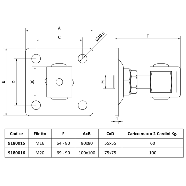 Cardine inox AISI 304 a cavallotto con piastra